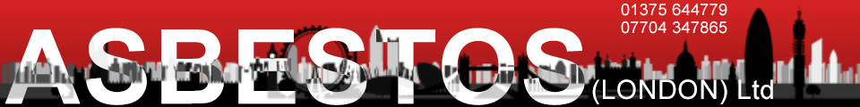 Asbestos Removal Experts